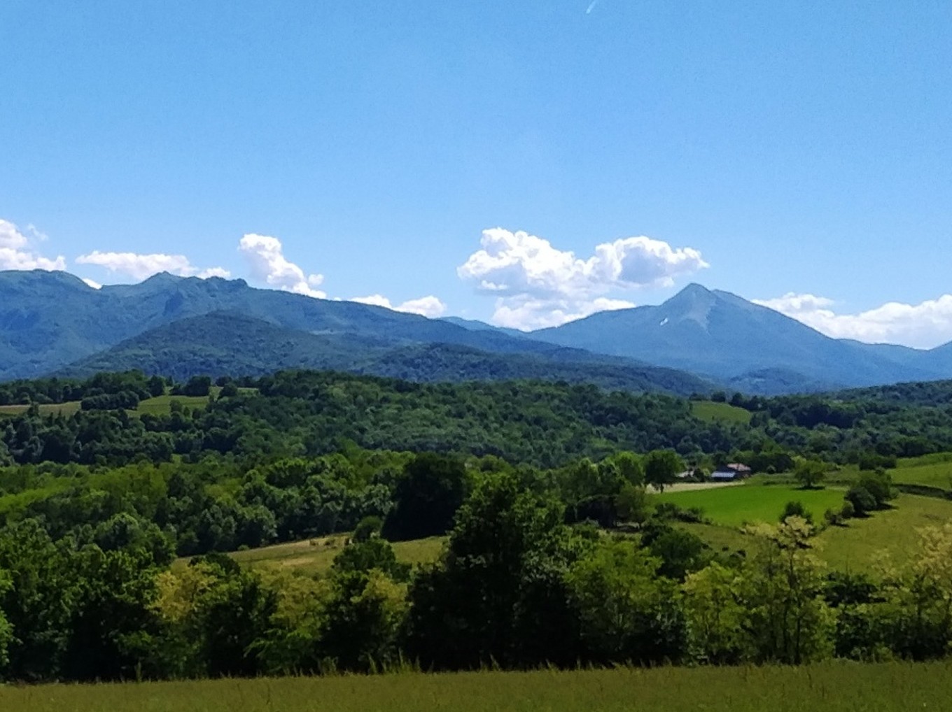 Job Entraide Job Entraide